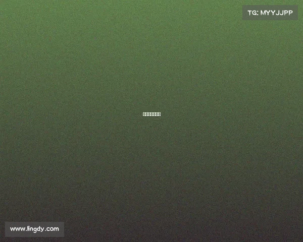 欧洲杯比赛现场