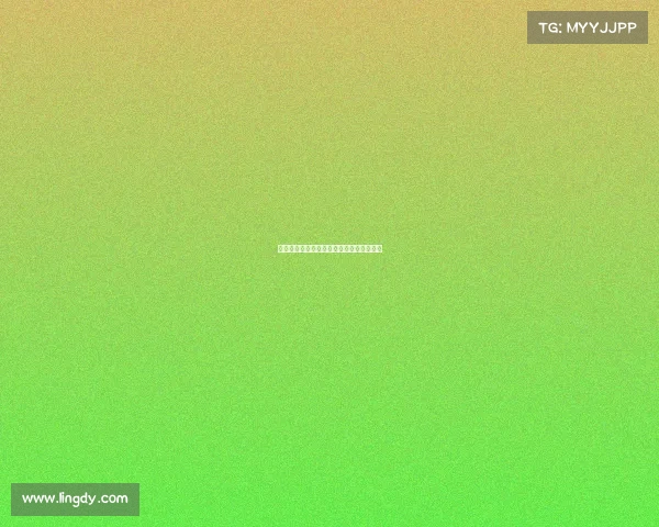 南京赛事公司引领体育盛事创新服务新风尚